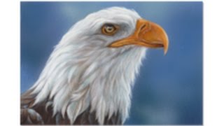 eagle watercolor painting gouache speed