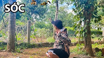Ná cao su - Loanh quanh nhà kiếm mồi lai rai || Rubber slingshot hunting
