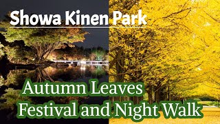 Showa Kinen Park  /  JAPAN Autumn Leaves Festival and Night Walk \ 昭和記念公園 ライトアップ
