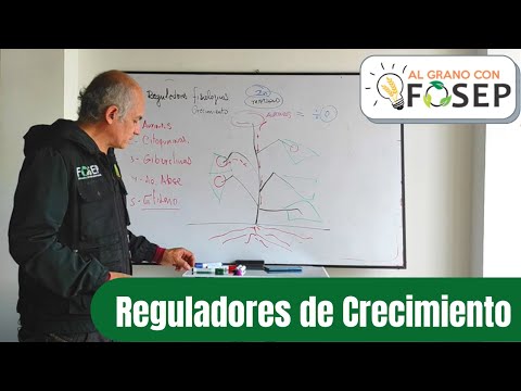 Video: ¿Qué es un regulador de crecimiento?