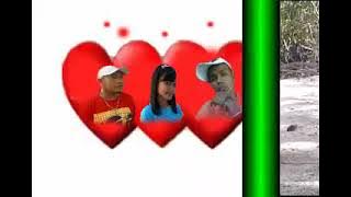 cinta sapele