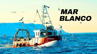 Altamar Blanco: Los desafíos de pesca ante el cierre de la Temporada - Documental