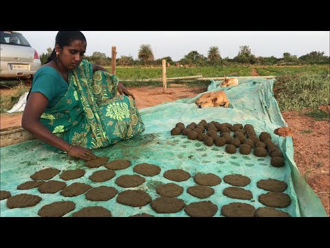 Preparation of Cow dung