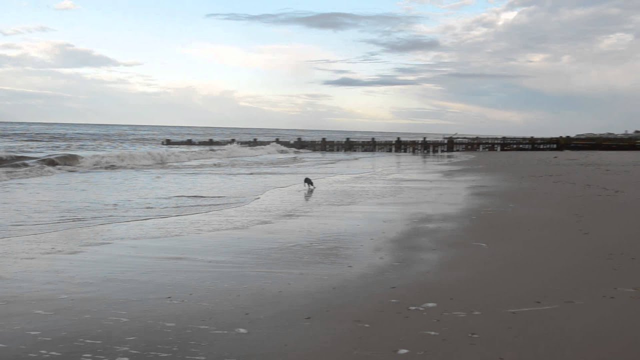 Dora at Bacton Beach, Norfolk - YouTube