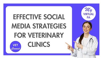 Effective Social Media Strategies For Veterinary Clinics