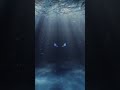 🌊8.4.26.