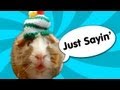 Guinea Pig Speaks Out - Ricky Gervais