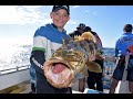 Offshore Fraser Island. Big cod on the handline! Rainbow Escape Charters!