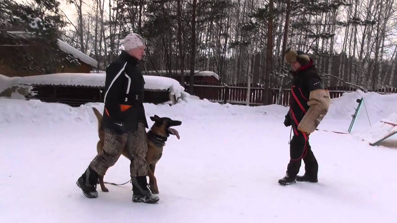 Alex Vyatkin vs Vyatkins' Robbie