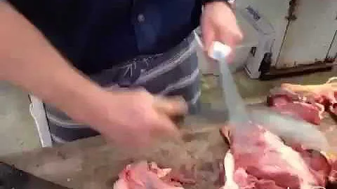 Autodance  Sam's Paddock Boorowa Butcher