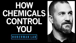 How Smell, Taste & Pheromone-Like Chemicals Control You | Huberman Lab Podcast #25