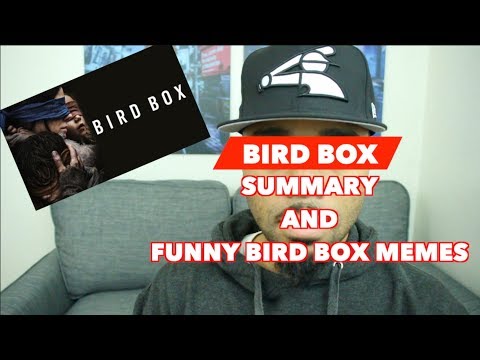 bird-box-summary-and-funniest-bird-box-memes