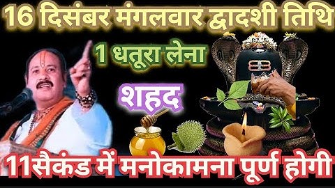 16 दिसंबर मंगलवार द्वादशी के दिन धतूरा और शहद वाला उपाय जरुर करें || 🙏#pradeepmishra 🔱🚩
