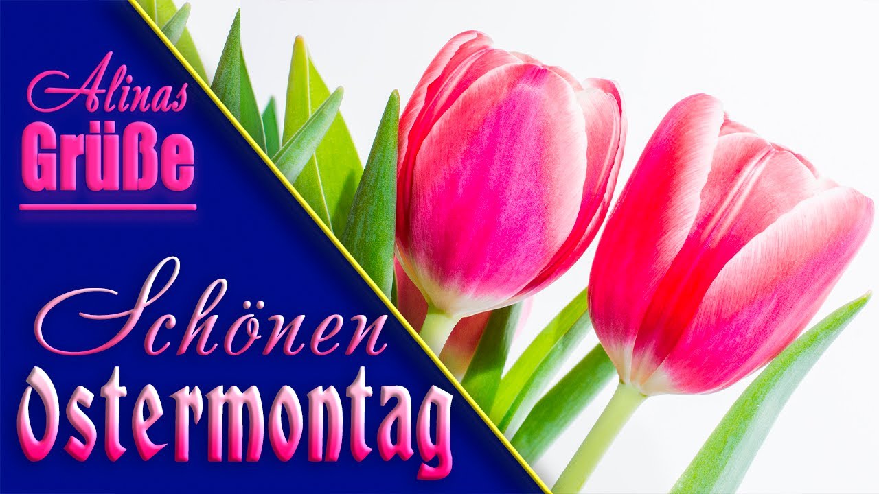 Update New Guten Morgen☕ Schönen Ostermontag☀🌞🐣🐰
