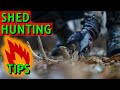 Getting started  shed hunting for beginners