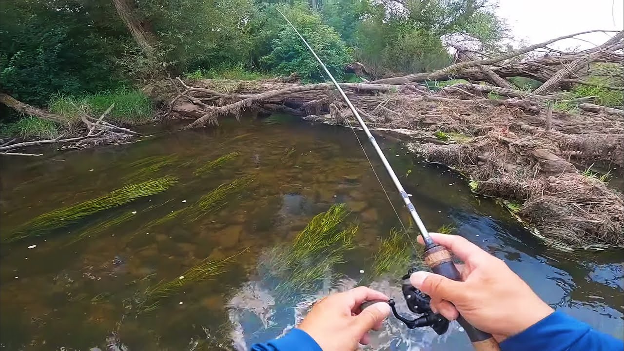 I Have Been Waiting For This (Big Rock Bass!)