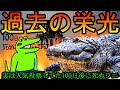 【忘却】100日後に死ぬワニ忘れ去られる【BF4】