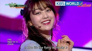 TWICE (트와이스) - What is Love? [Music Bank HOT Stage / 2018.04.20]
