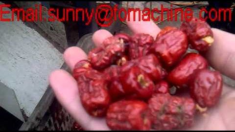 Red dates pitting machine