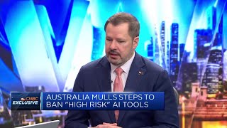 We're looking to introduce a 'risk-based framework' for A.I., says Australian minister