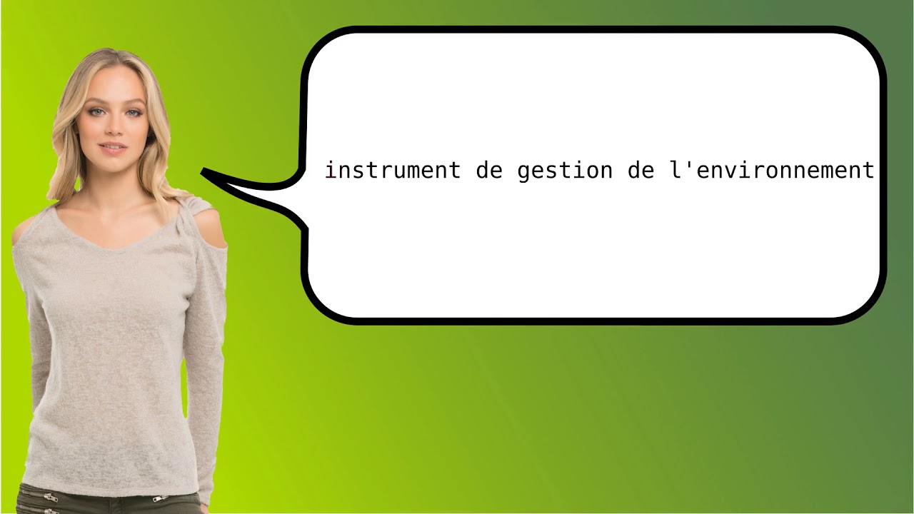 How to say 'environmental policy instrument' in French?
