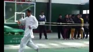Traditional Tong Bi Quan 通臂拳