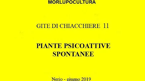 Dove trovare funghi magici in Italia?