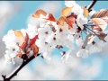Daishi Dance - This Moment (Prog Mix)  Nic Chagall feat. Jonathan Mendelsohn
