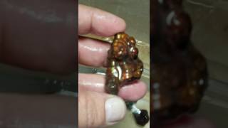 Celebrity Aguascalientes Fire Agate Net Worth