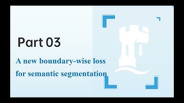 COMP4126  CW: Boundary-wise loss for medical image segmentation based onfuzzy rough sets，20718238