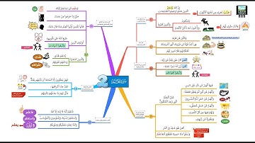 احفظ بالخرائط الذهنية مع التدبر والتكرار | سورة محمد(2)