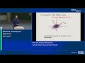 Machine Learning for Physicists (Lecture 5): Principal Component Analysis, t-SNE, Adam etc., ...