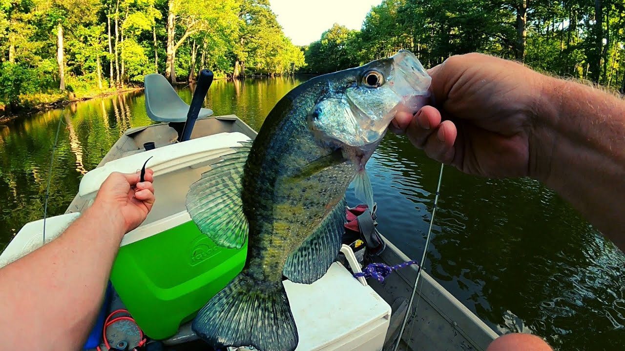 BEETLE SPIN FALL CRAPPIE FISHING 