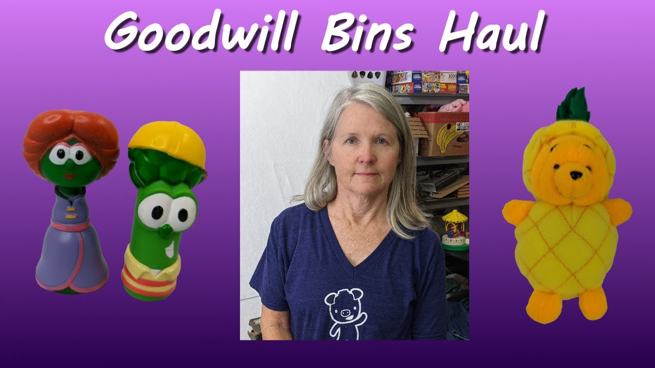 What's Next In My Huge Goodwill Bins Haul? YouTube