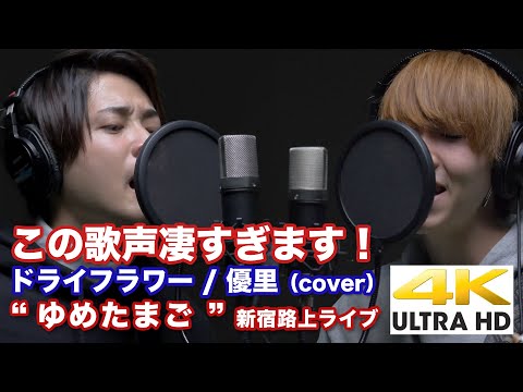 【4K】この歌声凄すぎます！ ドライフラワー / 優里（cover） " ゆめたまご " スタジオテイク  4K動画