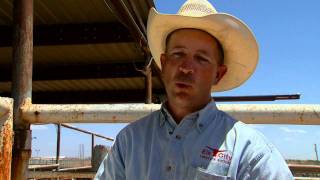 Oklahoma Drought: A New Generation - The Cattle Industry & Drought