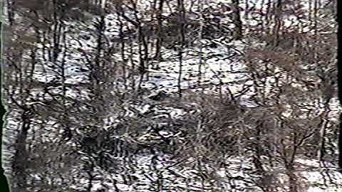 Spigelmyer Helicopter Logging Part 5