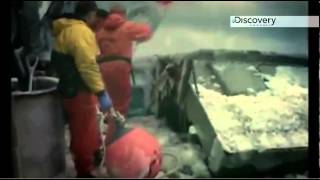 Frozen Planet Overlays