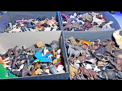 500 Animals Farm Animals Primates Birds Dogs Cats Asian Animals Monkey Pig Donkey Cow