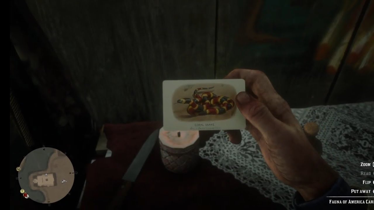 Fauna Of America Cigarette Card 5 Location RDR2 CigaretteCards YouTube