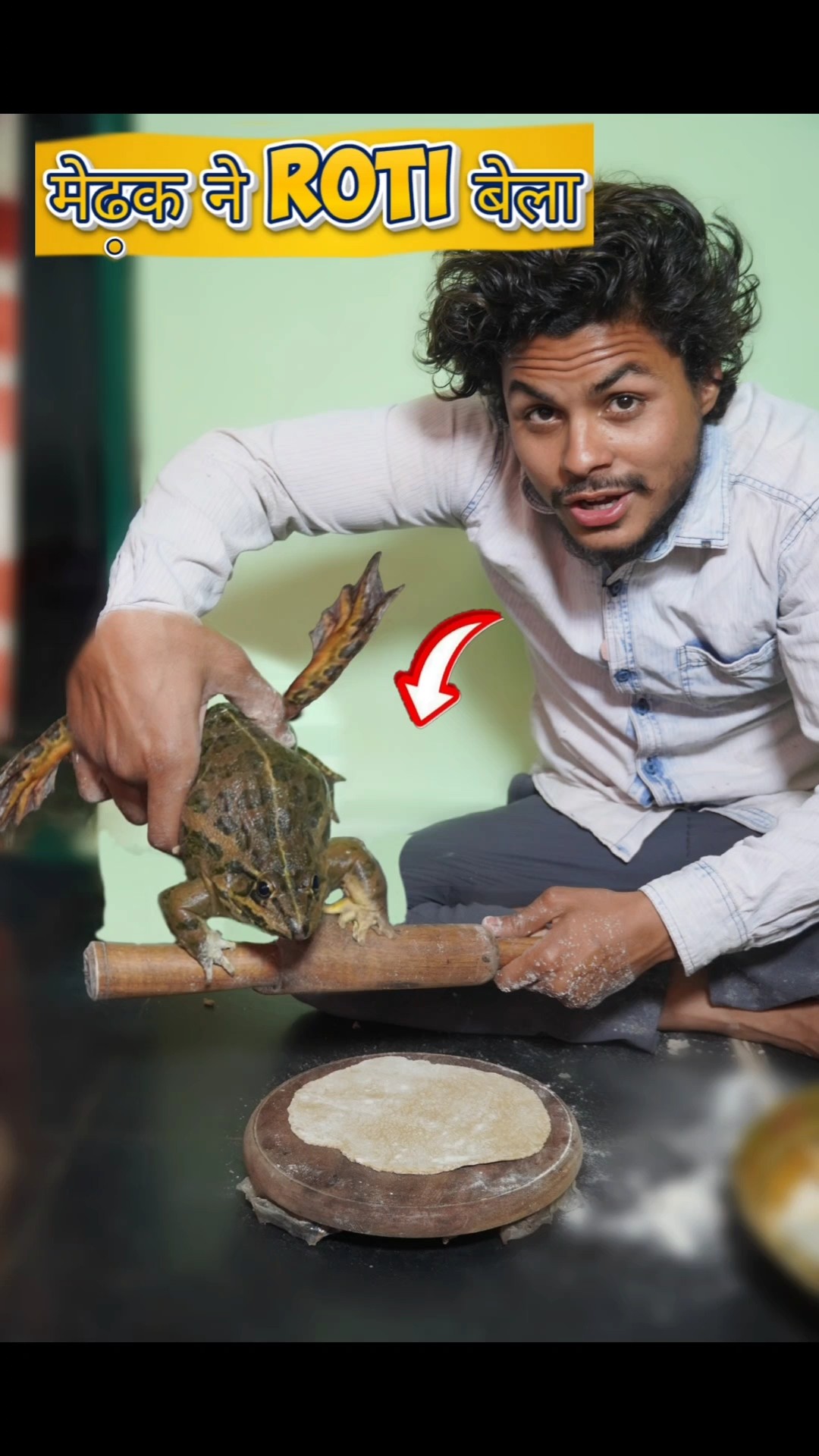 मेंढ़क?ने रोटी बेला!#frog #funny