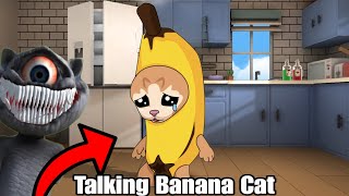 Talking Cat: Cute Cat Life | Banana Cat | Happy Cat | Scary Juan | Talking Juan Update