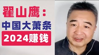 翟山鹰2024中国大萧条中有哪些赚钱机会#翟山鹰 #翟山鹰视界 老翟聊八卦