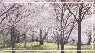 과거와 현재의 시간을 어우르는 곳, 사천 선진리성 - 요기조기 빔빔