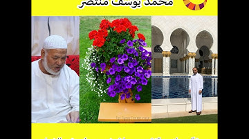 سورة آل عمران من الاية 1 : 20 برواية حفص عن عاصم بقصر المنفصل