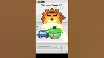 Hide & seek: cat escape| level 506 gameplay (ios,android) mobile casual game #Shorts #shorts