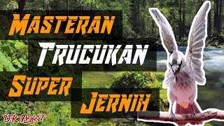 Mp3 Masteran Trucukan Ngikluk||Ropel Jernih!!! ~DK Project