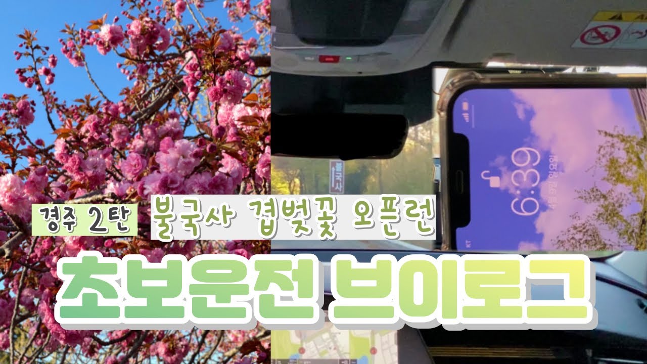 [초보운전 브이로그] 눈뜨자마자 꽃구경 가기 | 지갑없이 여행?! | 대환장 대화🤦‍♀️ | 불국사까지 함께가요🌺🌸