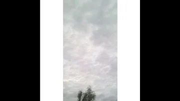أمطري قلبي أمطري Shorts 