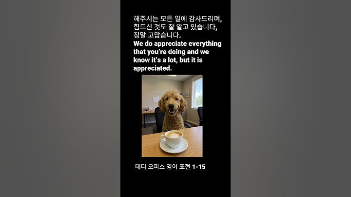 #비지니스영어#appreciated #itisalot#원어민영어표현#회의영어#푸들#shorts #영어공부